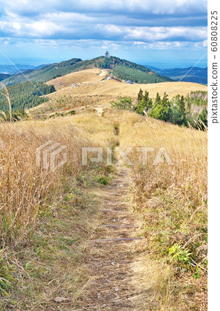 [Ishiishi Kogen] Nakata, Kimino-cho, Seagrass-gun, Wakayama Prefecture 60808225