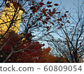 冬季戶外風景 60809054