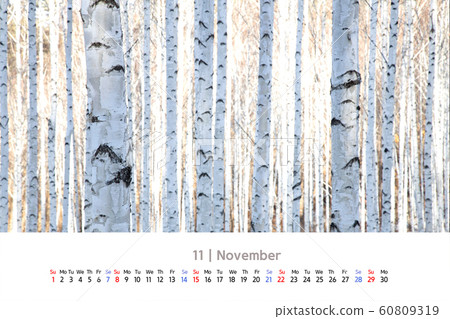 November 2020 calendar with snowy birch forest 60809319