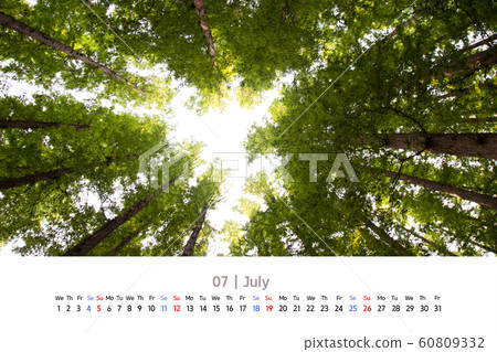 Cypress Growing High to the Sky, July 2020 Calendar 60809332