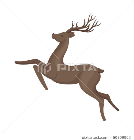 Brown Deer Animal in Running Pose Vector Illustration 60809903
