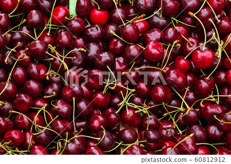 Fresh organic cherries on the farmers market. Fresh organic cherries on the farmers market. 60812912