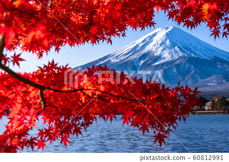 "Yamanashi Prefecture" Japan's Autumn / Mt. Fuji and autumn leaves "Yamanashi Prefecture" Japan's Autumn / Mt. Fuji and autumn leaves 60812991