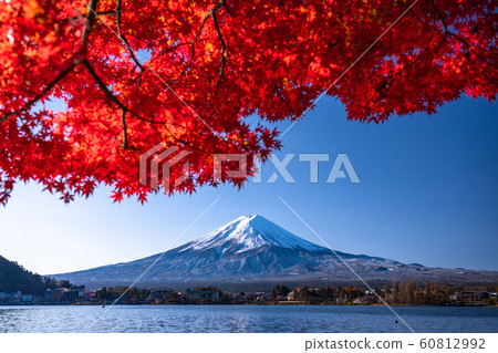 "Yamanashi Prefecture" Japan's Autumn / Mt. Fuji and autumn leaves "Yamanashi Prefecture" Japan's Autumn / Mt. Fuji and autumn leaves 60812992