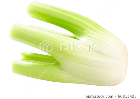 Celery stem bundle a. graveolens, paths 60813423