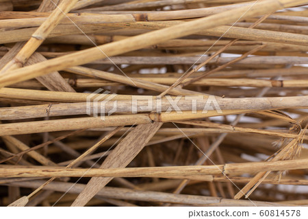 Close-up of a stack of dry reed stalks Close-up of a stack of dry reed stalks 60814578