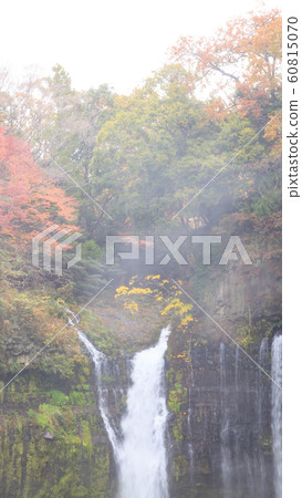 Shiraito Falls (Autumn) Shiraito Falls (Autumn) 60815070