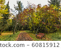 under the old rowan 60815912