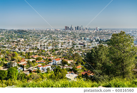 View of Los Angeles from Mount Hollywood 60816560