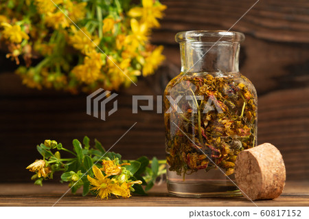 Concept of homeopathy and herbal treatment - dried Hypericum perforatum know as tutsan or Saint-Johns-wort in a bottle 60817152