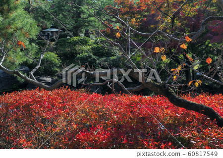 Swan Garden Point View Swan Garden Point View 60817549