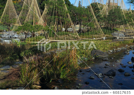 Swan Garden Point View Swan Garden Point View 60817635