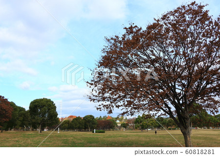 Landscape of Tsurumi Ryokuchi in late autumn 60818281