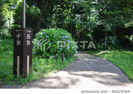 Chigasaki Castle Park 60820364