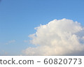 60820773