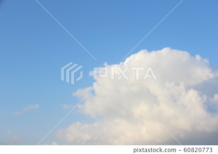 60820773