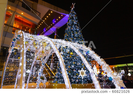 Merry - Xmas  - Christmas tree in the garden  60821026