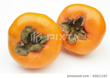 富士 富士 60821285