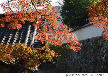 Hase Temple Hase Temple 60822896