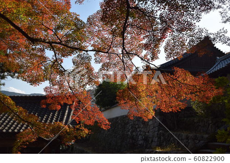 哈斯神廟 哈斯神廟 60822900