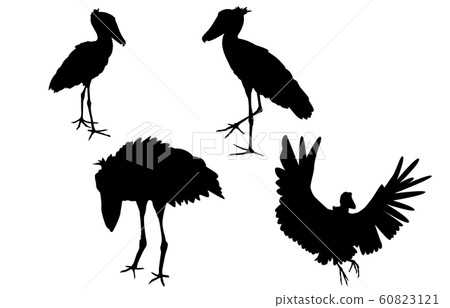 動物剪影鳥犀鳥 動物剪影鳥犀鳥 60823121