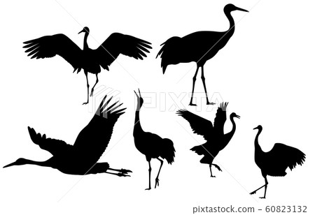 動物剪影鳥藤 60823132