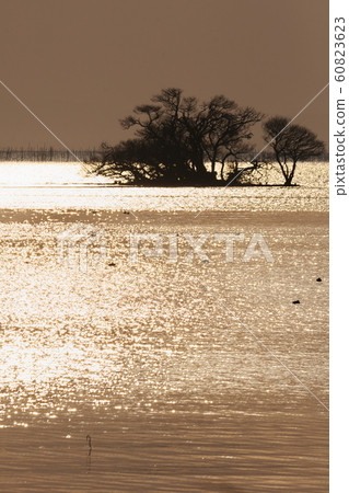 Dusk in Hubei where waterfowl gather 60823623