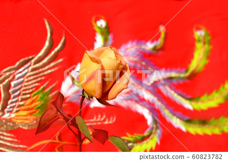 Yellow rose, background is embroidered rug, Japanese style image material Yellow rose, background is embroidered rug, Japanese style image material 60823782