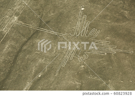 Nazca lines on desert in Peru, South America 60823928