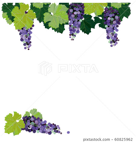 Grape frame 60825962