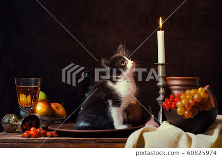 still life of black and white kitten sitting in a clay plate and looking at a burning candle on dark background 60825974