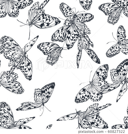 Butterfly seamless pattern Butterfly seamless pattern 60827322