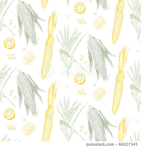 Corn on the cob vintage design seamless pattern Corn on the cob vintage design seamless pattern 60827345
