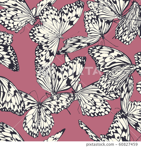 Butterfly seamless pattern 60827459