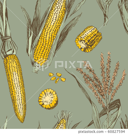 Corn on the cob vintage design seamless pattern 60827594