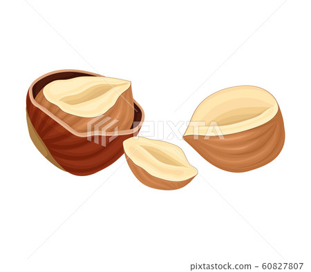 Whole and Split Hazelnut Isolated on White Background Whole and Split Hazelnut Isolated on White Background 60827807