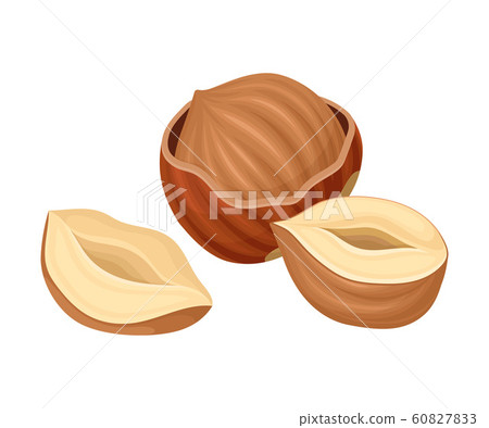 Whole and Split Hazelnut Isolated on White Background Whole and Split Hazelnut Isolated on White Background 60827833