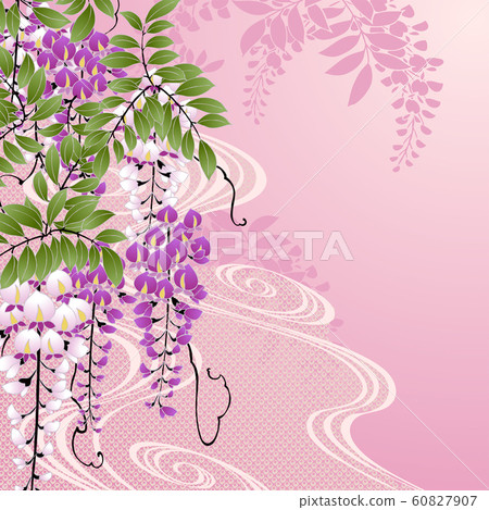 Wisteria pink 60827907