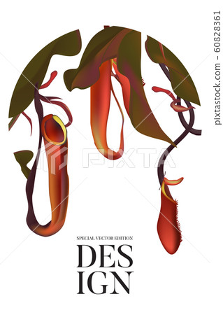 Vector 3d jungle bloom flowers and leaves, garden bouquet artwork. Tropical nature card, brochure Vector 3d jungle bloom flowers and leaves, garden bouquet artwork. Tropical nature card, brochure 60828361