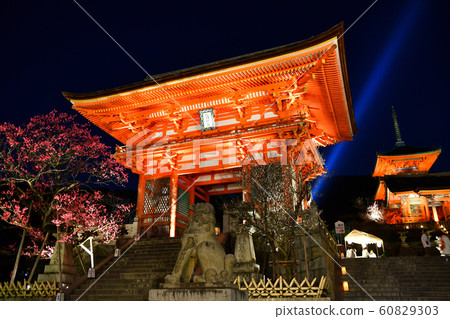 Kiyomizu-dera Temple and the Light of Mercy at Night 60829303