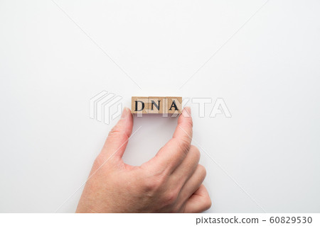 圖像DNA 60829530