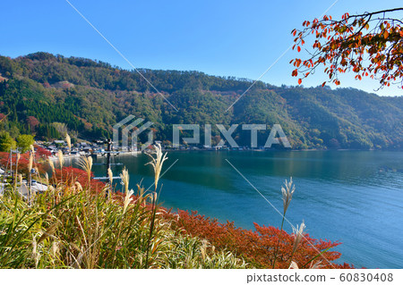 巢浦村湖岸景觀秋葉 巢浦村湖岸景觀秋葉 60830408
