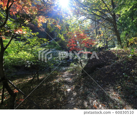 Arumdown秋葉 60830510