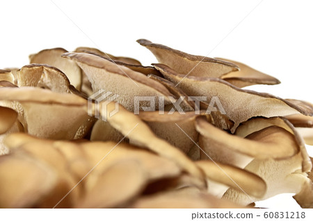 蘑菇(舞子) 蘑菇(舞子) 60831218