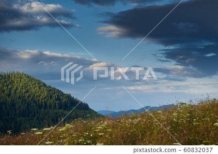 Sunset in carpathian mountains - beautiful summer Sunset in carpathian mountains - beautiful summer 60832037