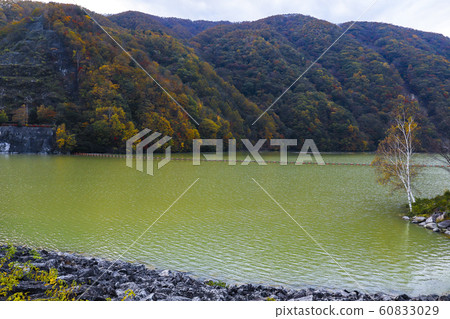 [Yamanashi Prefecture] Lake Hirose and Hirose Dam in Autumn 60833029