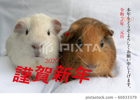 新年賀卡材料 60833379