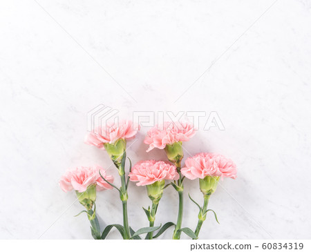 Yasuno Kaoru Mother's Day Carnation flower pink Carnation Mother's Day 60834319