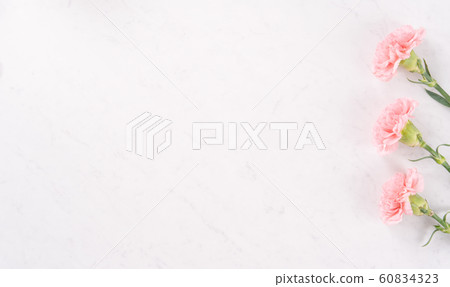 Yasuno Kaoru母親節康乃馨花粉紅色康乃馨母親節 60834323