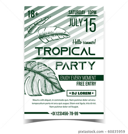 Monstera Tropical Exotic Bush Leaves Banner Vector 60835959